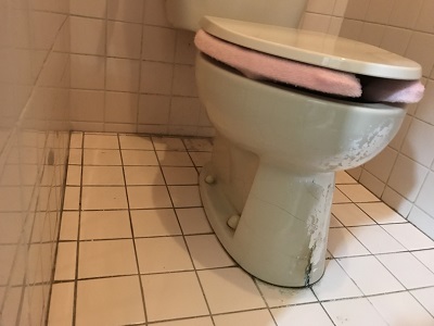 トイレ１.jpg