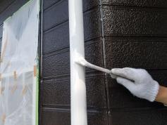 外壁塗装　雨樋　塗装