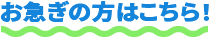 お急ぎの方はこちら!